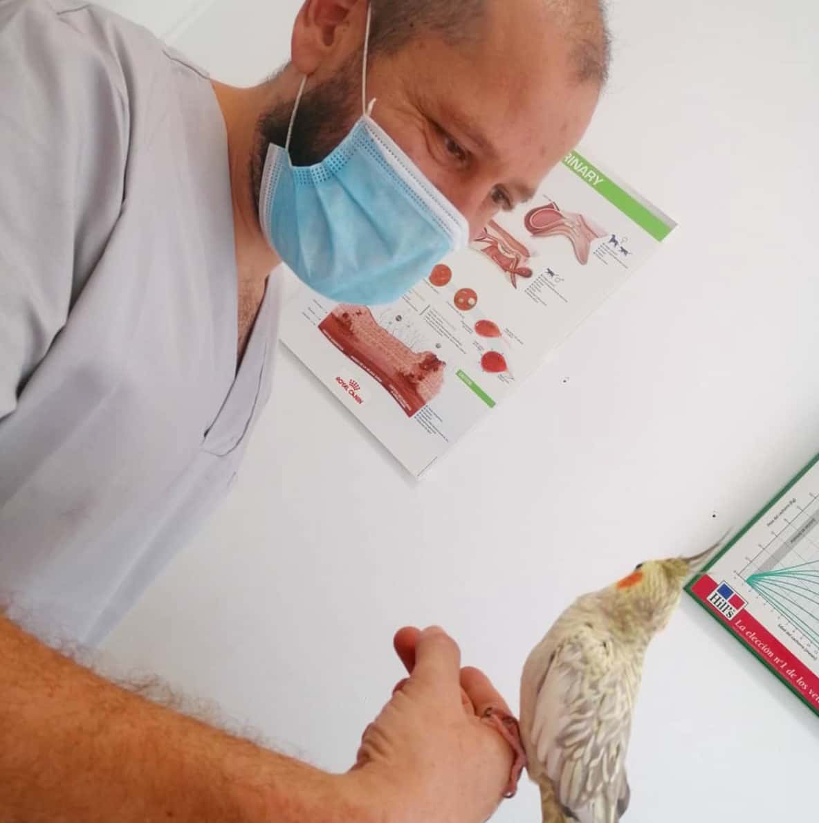 Clinica Veterinaria Elda Vicente Burgos