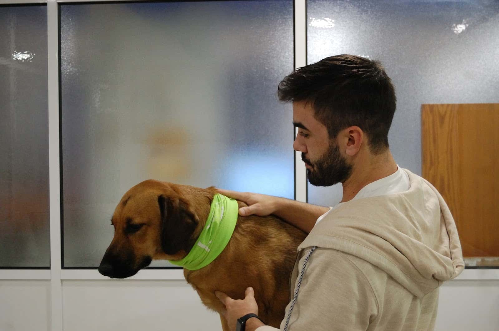 Centro Veterinario Leuka