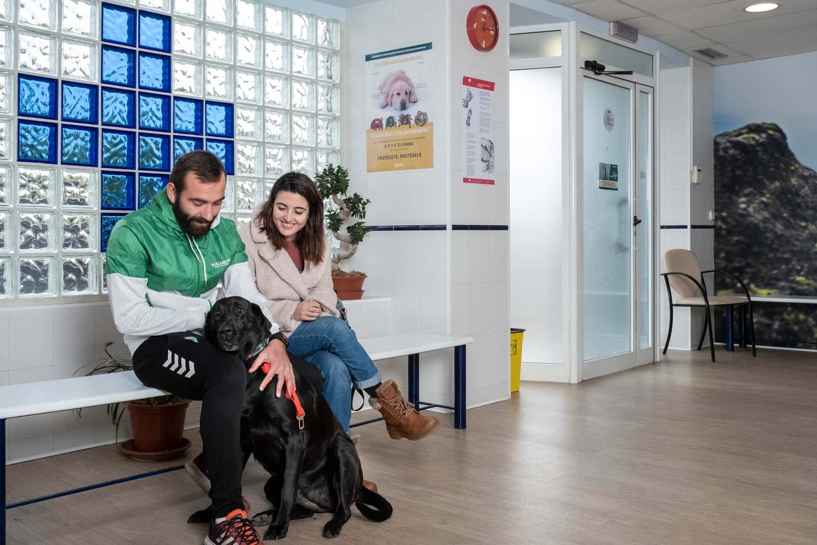 Centro Veterinario Leuka