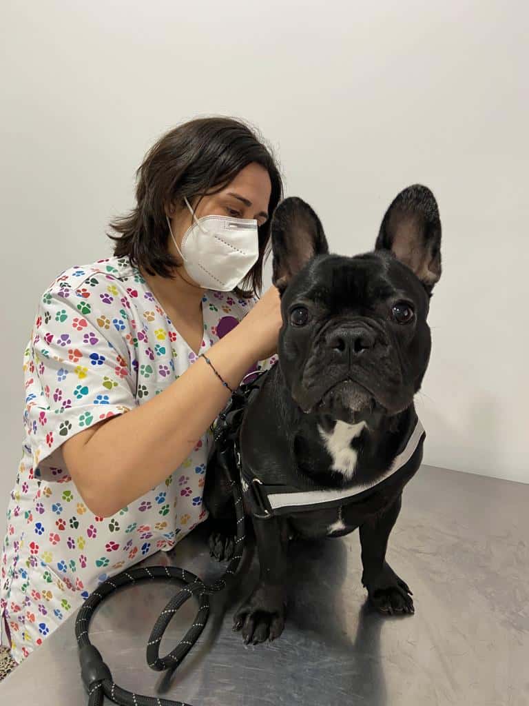 Clínica Veterinaria La Feria