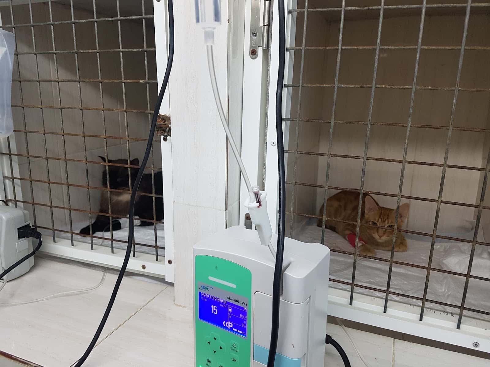 Clinica Veterinaria San Roque Novelda