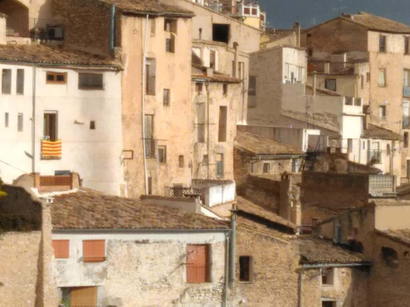 Coronació Centre Veterinari
