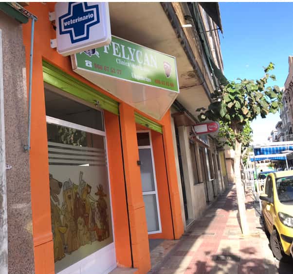 Clínica Veterinaria Felycan Campello