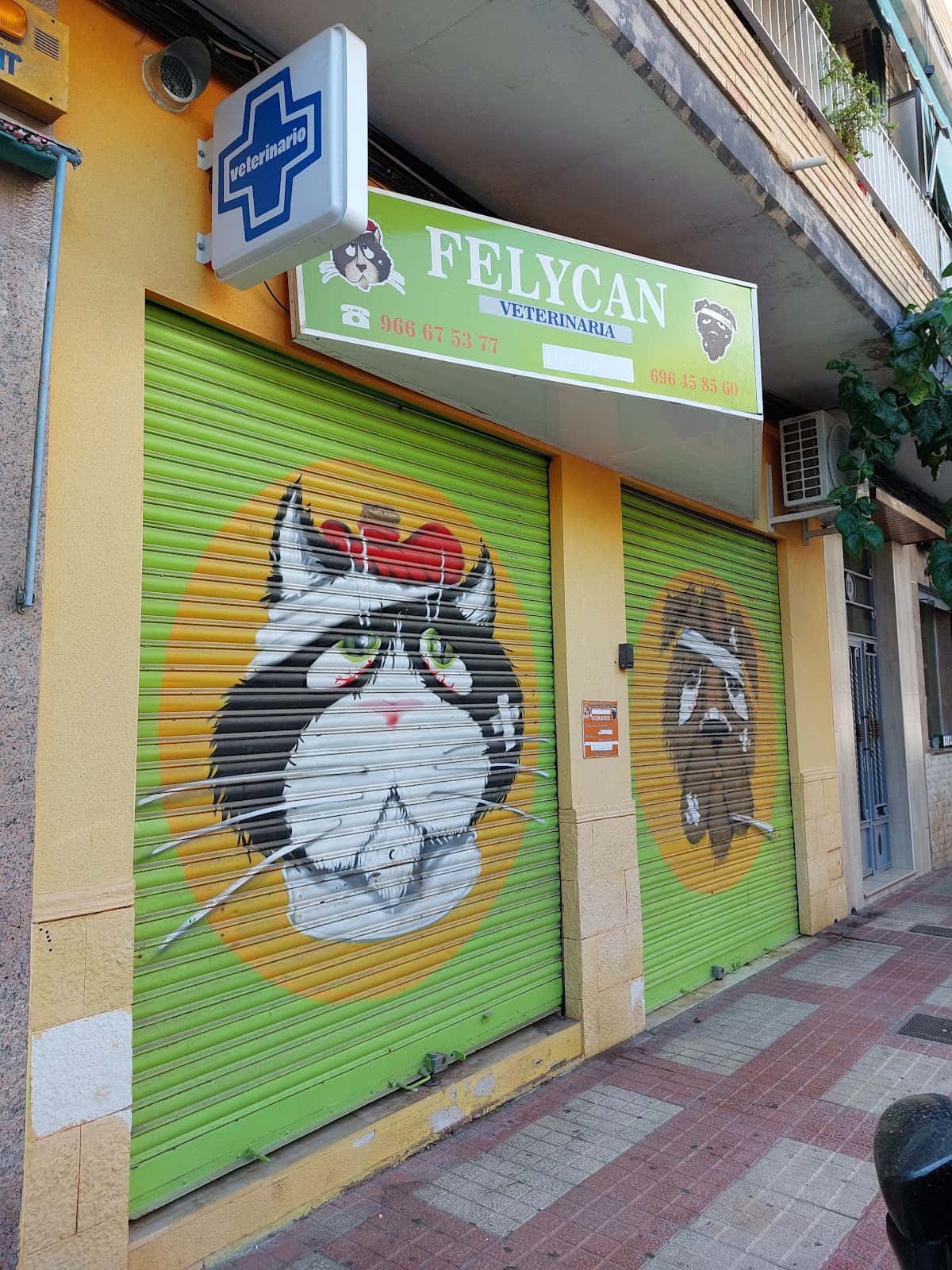 Clínica Veterinaria Felycan Campello