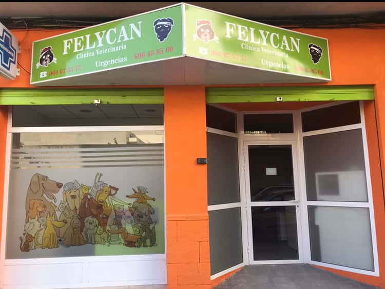 clinica veterinaria felycan campello veterinario clinica en el campello en alicante principalImage ADOPTA Sitios Pet Friendly