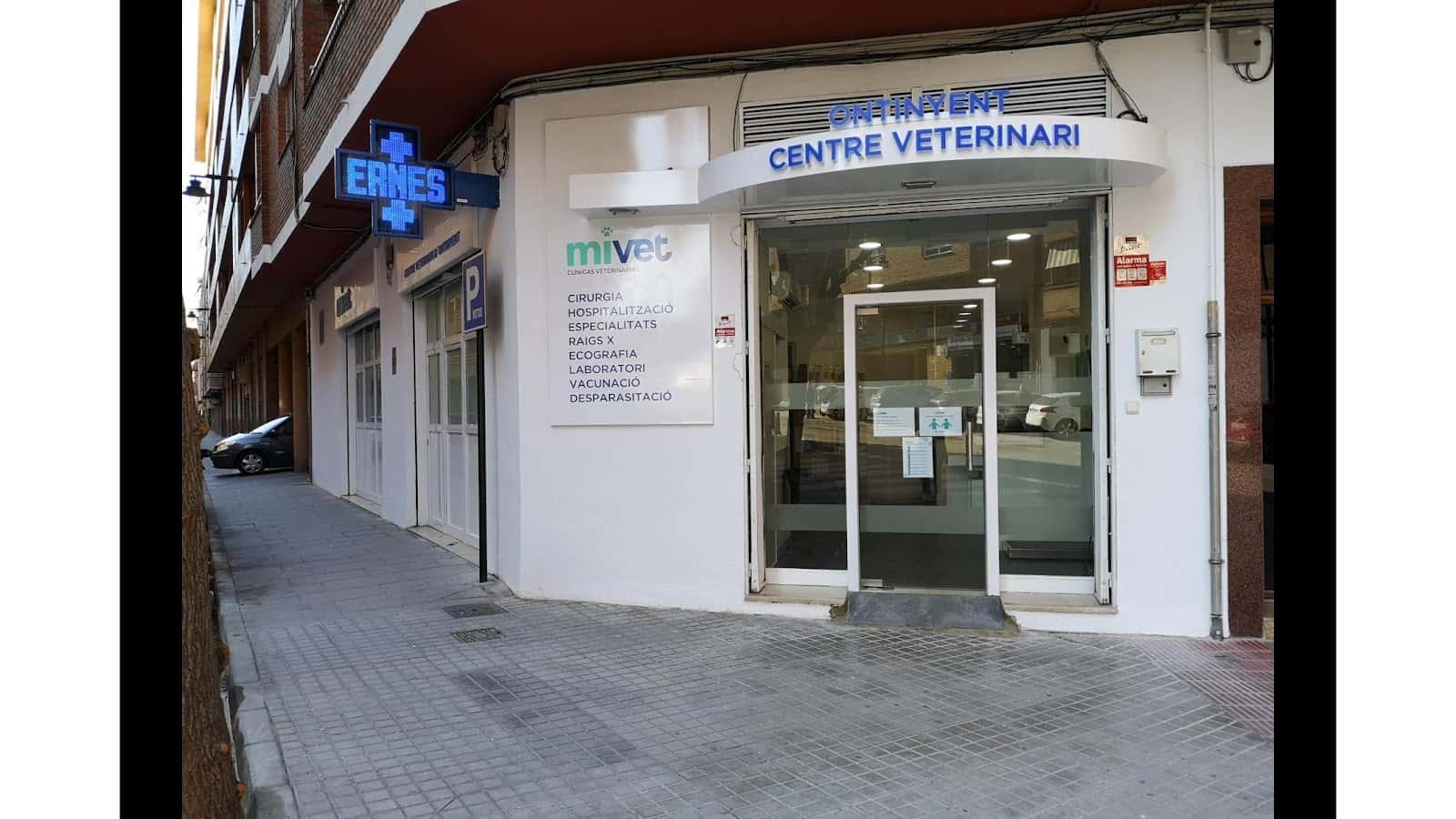 centre veterinari d ontinyent  mivet veterinario centro en ontinyent en valencia principalImage ADOPTA Sitios Pet Friendly