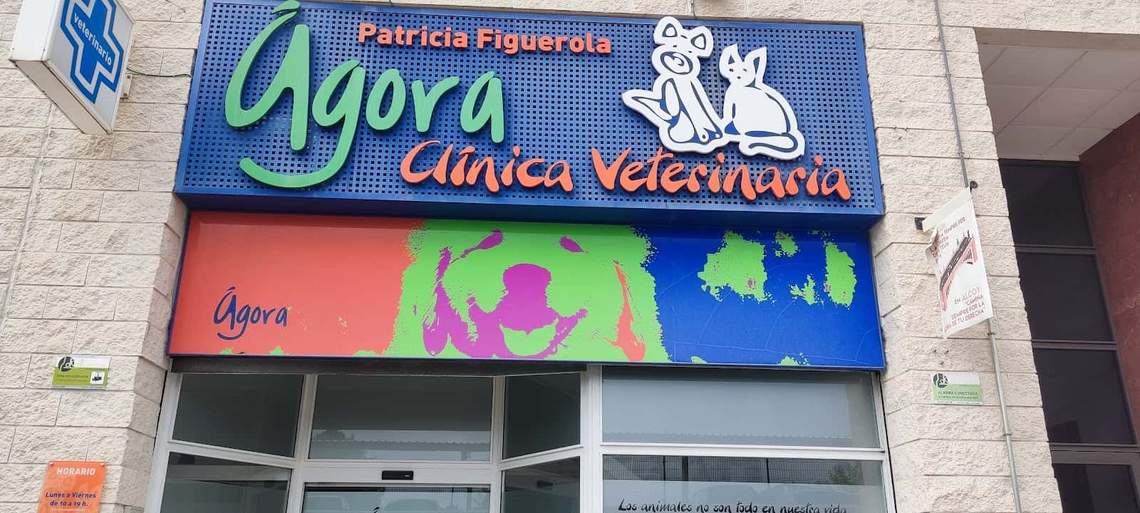 Ágora Clínica Veterinaria