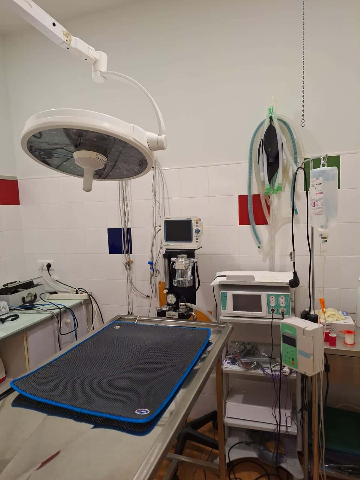 Clínica Veterinaria El Romeral