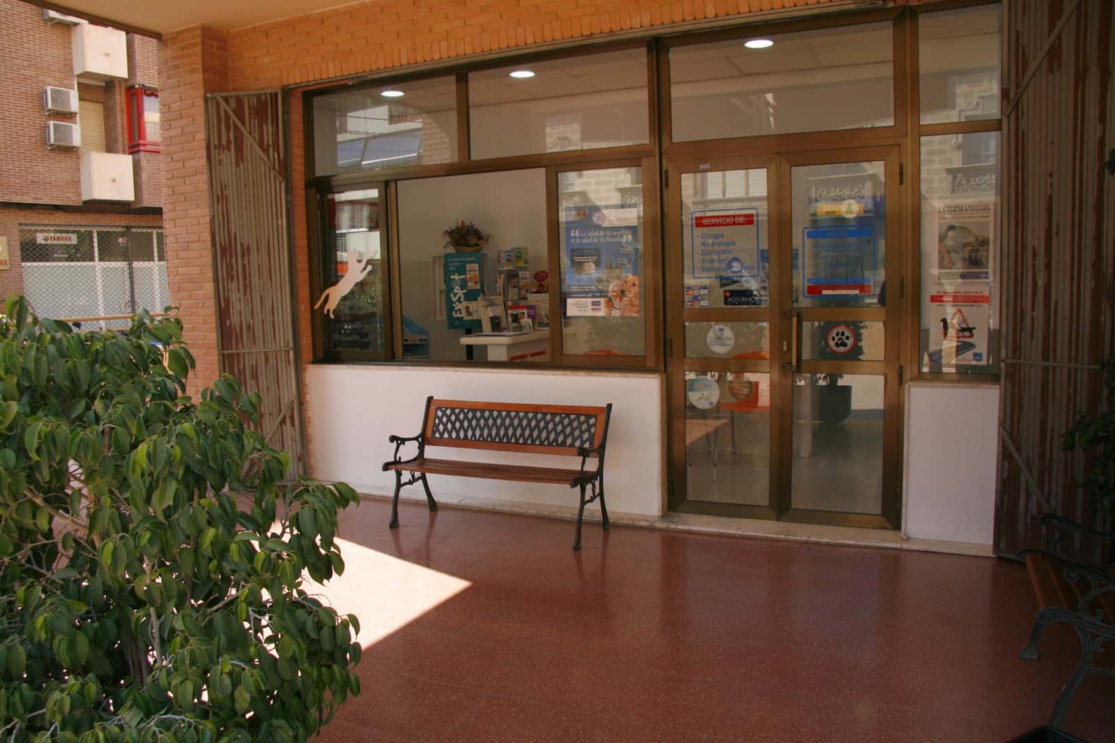 clinica capicua veterinario clinica en la vila joiosa en alicante principalImage ADOPTA Sitios Pet Friendly