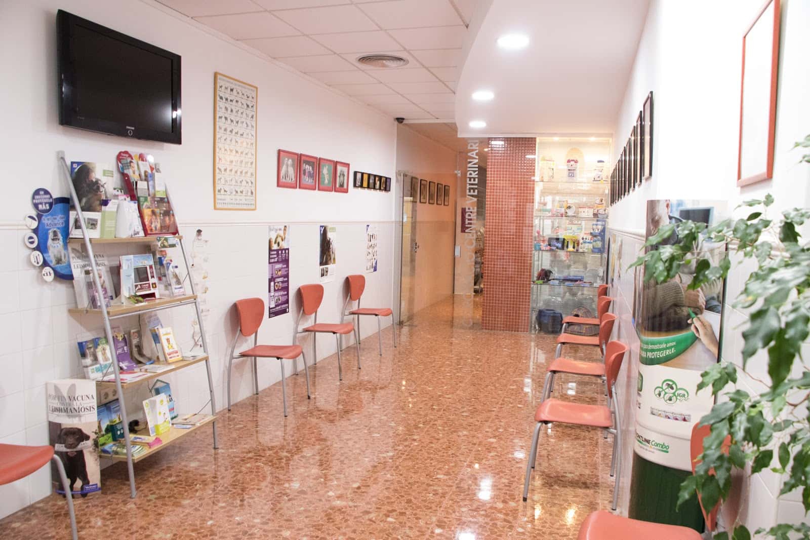 coronacio centre veterinari veterinario centro en ontinyent en valencia principalImage ADOPTA Sitios Pet Friendly