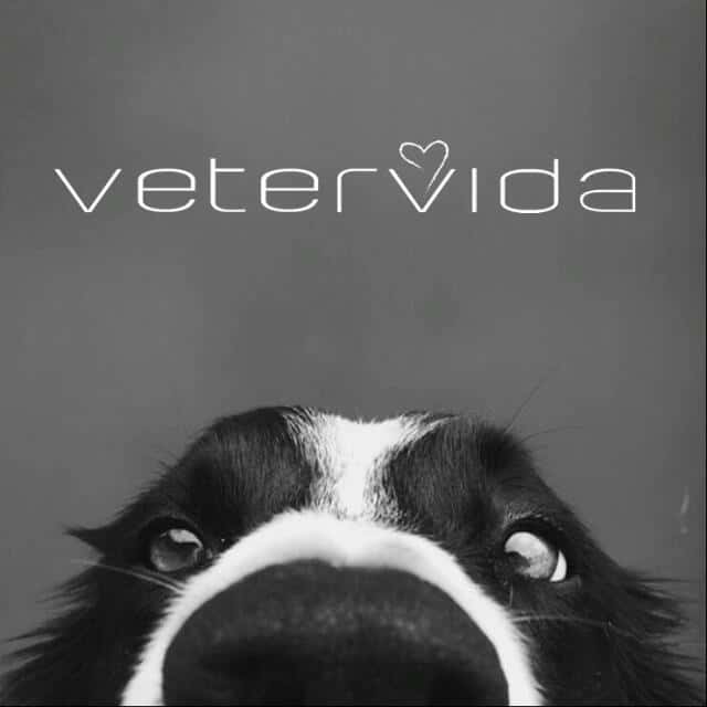 vetervida veterinario centro en alcoi en alicante principalImage ADOPTA Sitios Pet Friendly