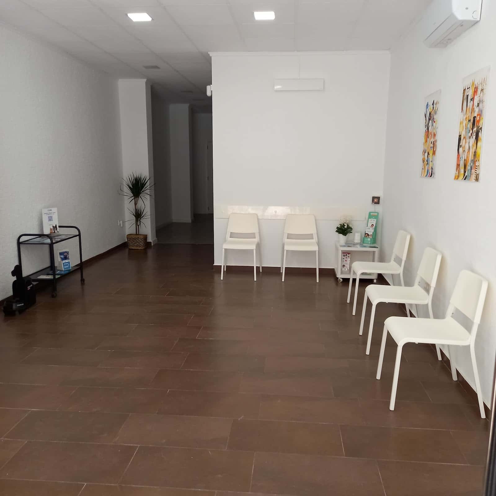 Centre Veterinari d'Aielo de Malferit | MiVet