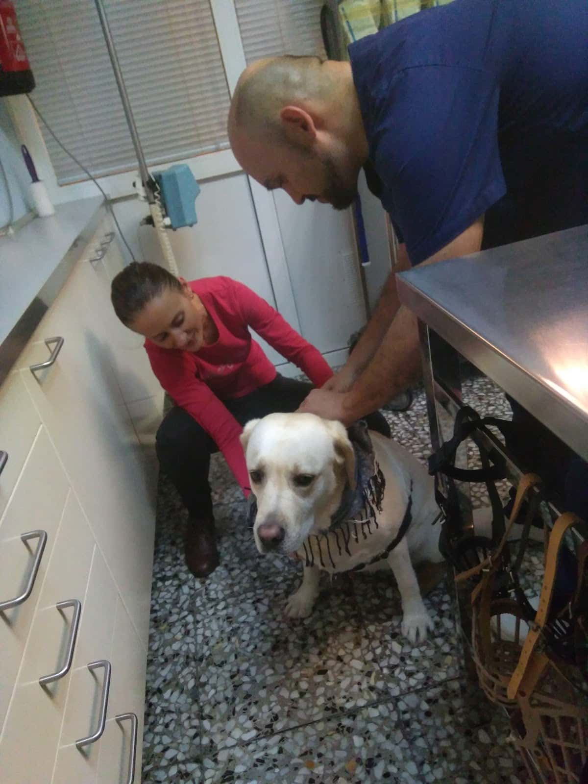 Clínica Veterinaria Orihuela Costa
