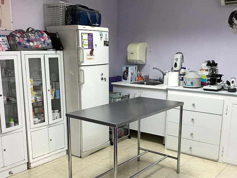 clinica veterinaria almoradi veterpet veterinario clinica en almoradi en alicante principalImage ADOPTA Sitios Pet Friendly