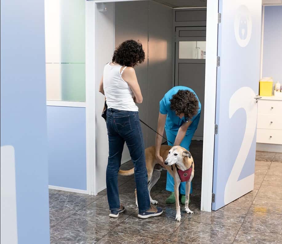 Clínica Veterinaria San Antón Dolores