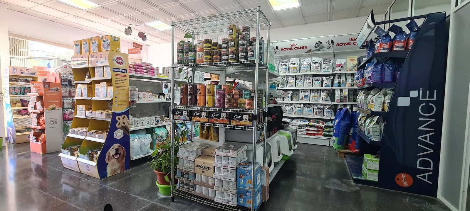 Clínica Veterinaria San Antón Dolores