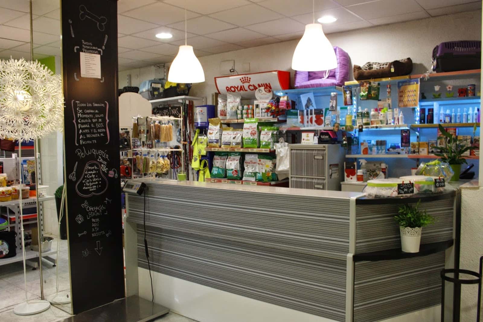 clinica veterinaria san roque veterinario clinica en callosa de segura en alicante principalImage ADOPTA Sitios Pet Friendly