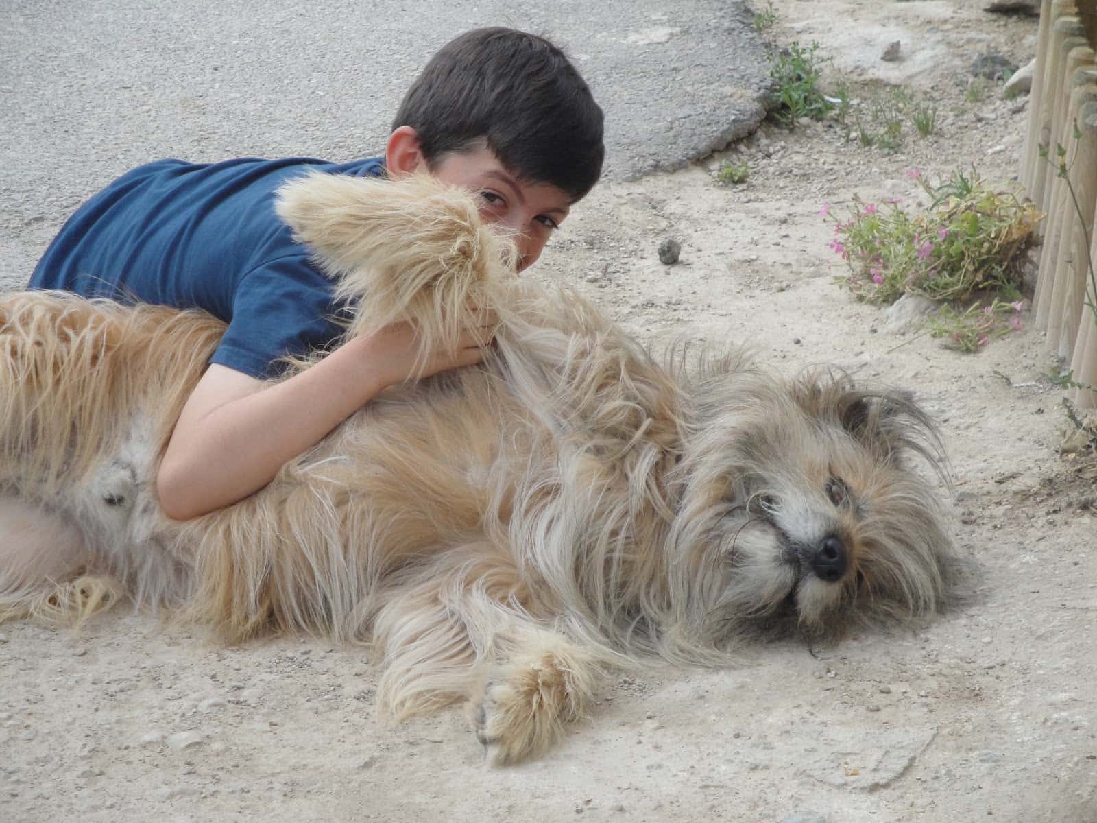 Clínica Veterinaria Benejuzar