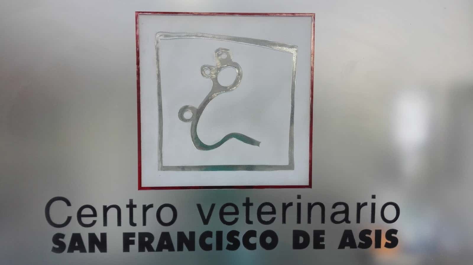 centro veterinario san francisco de asis veterinario centro en crevillent en alicante principalImage ADOPTA Sitios Pet Friendly