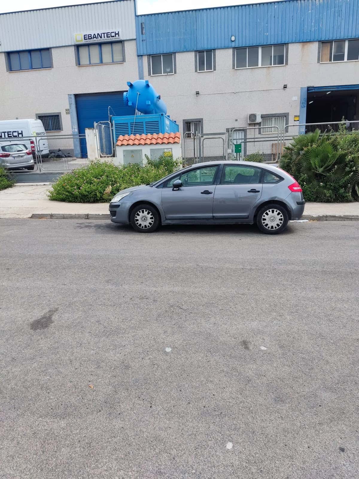 MASCOTA CENTER