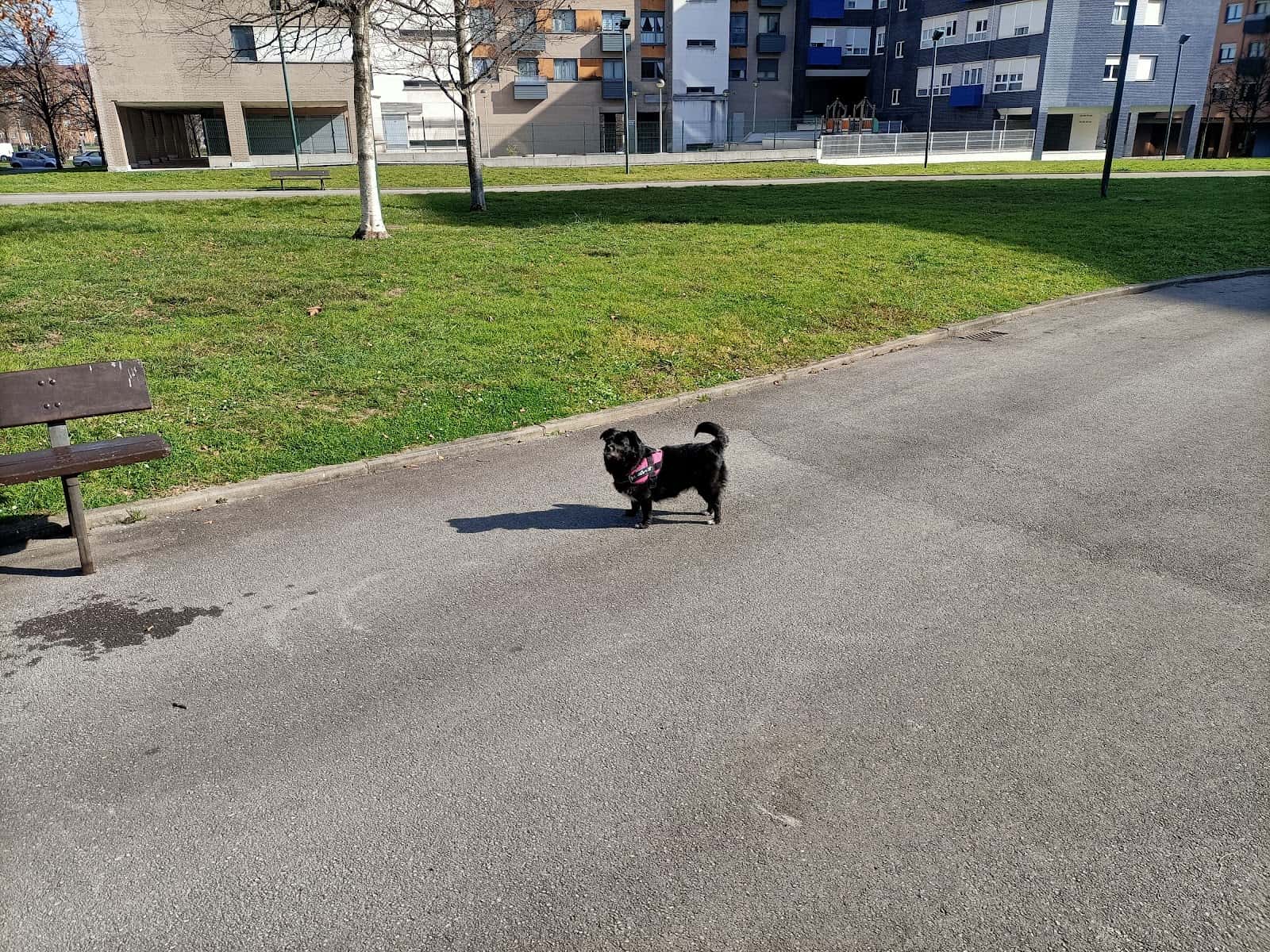 Clínica Veterinaria Crevillente | MiVet