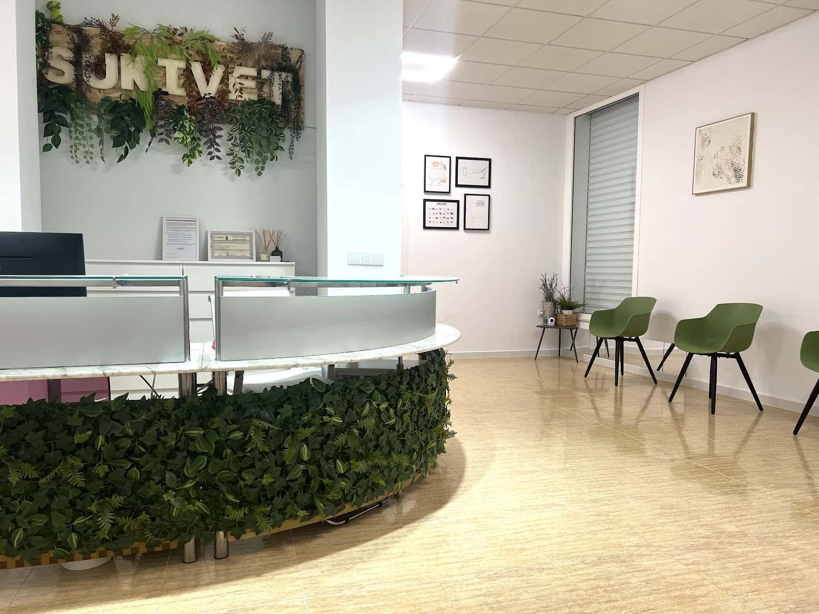 centro veterinario sukivet veterinario centro en algorfa en alicante principalImage ADOPTA Sitios Pet Friendly
