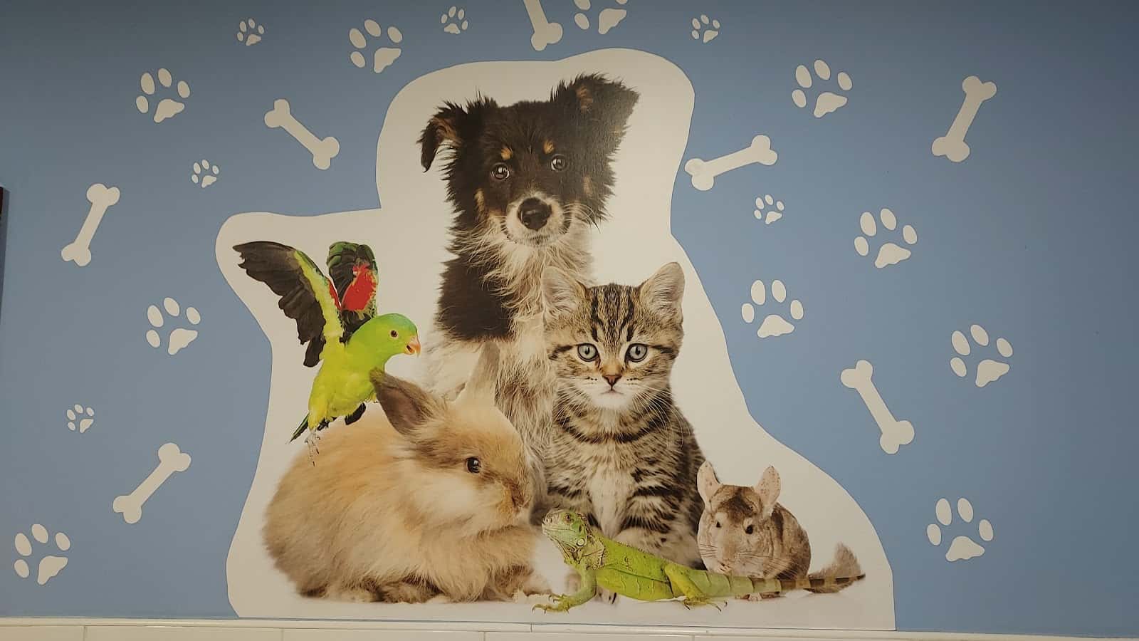 Clínica Veterinaria El Arca
