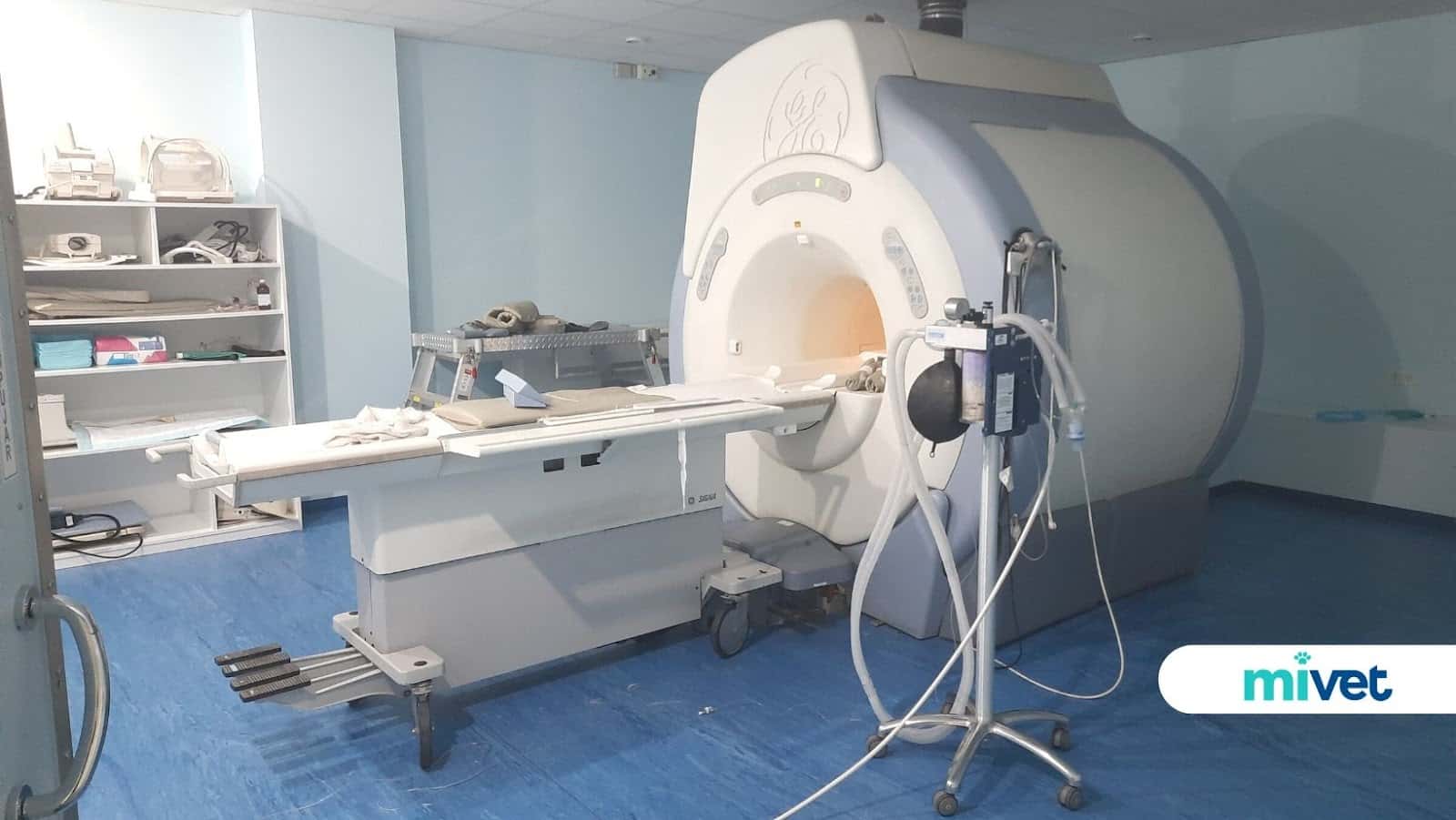 centro diagnostico por imagen de levante  mivet veterinario centro en ciudad quesada en alicante principalImage ADOPTA Sitios Pet Friendly