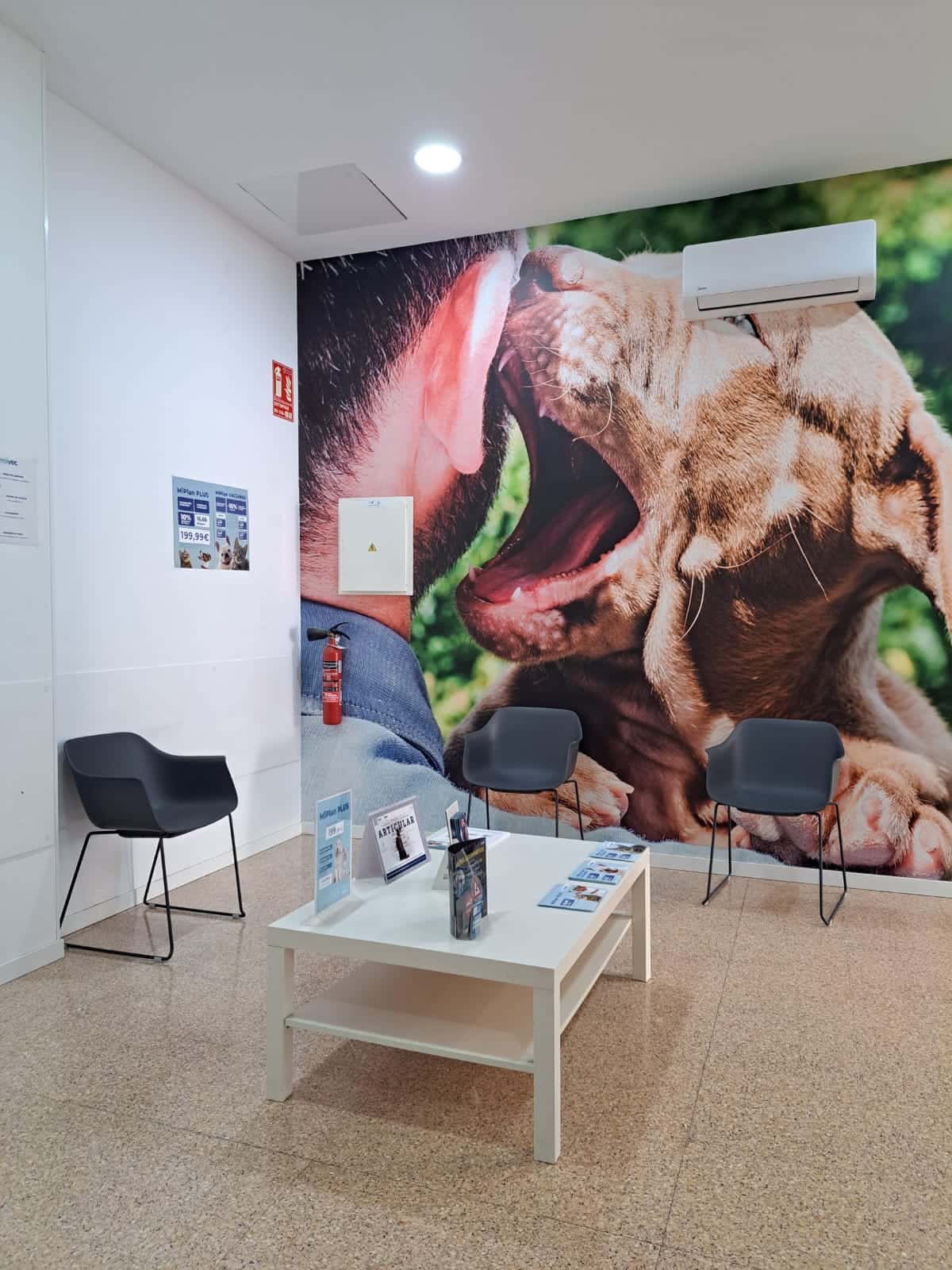 Clínica Veterinaria Benican Benijófar | MiVet
