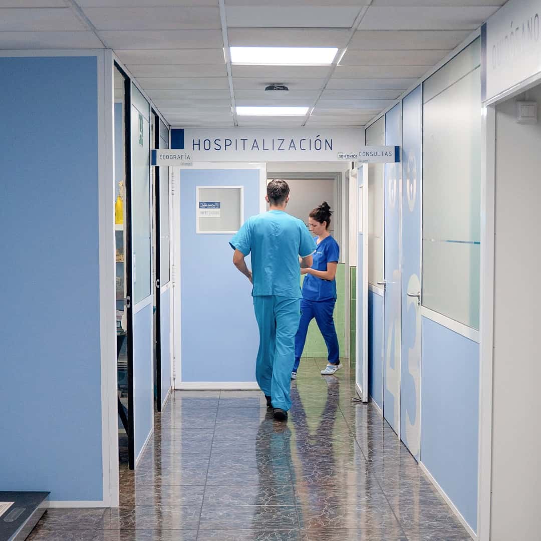 Hospital Veterinario San Antón