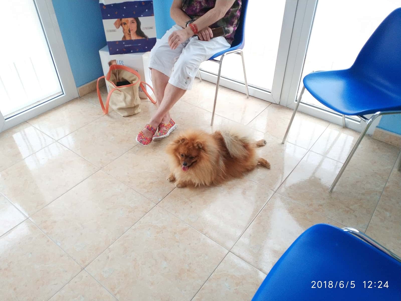 CLINICA VETERINARIA LAGOMAR (EL RASO)