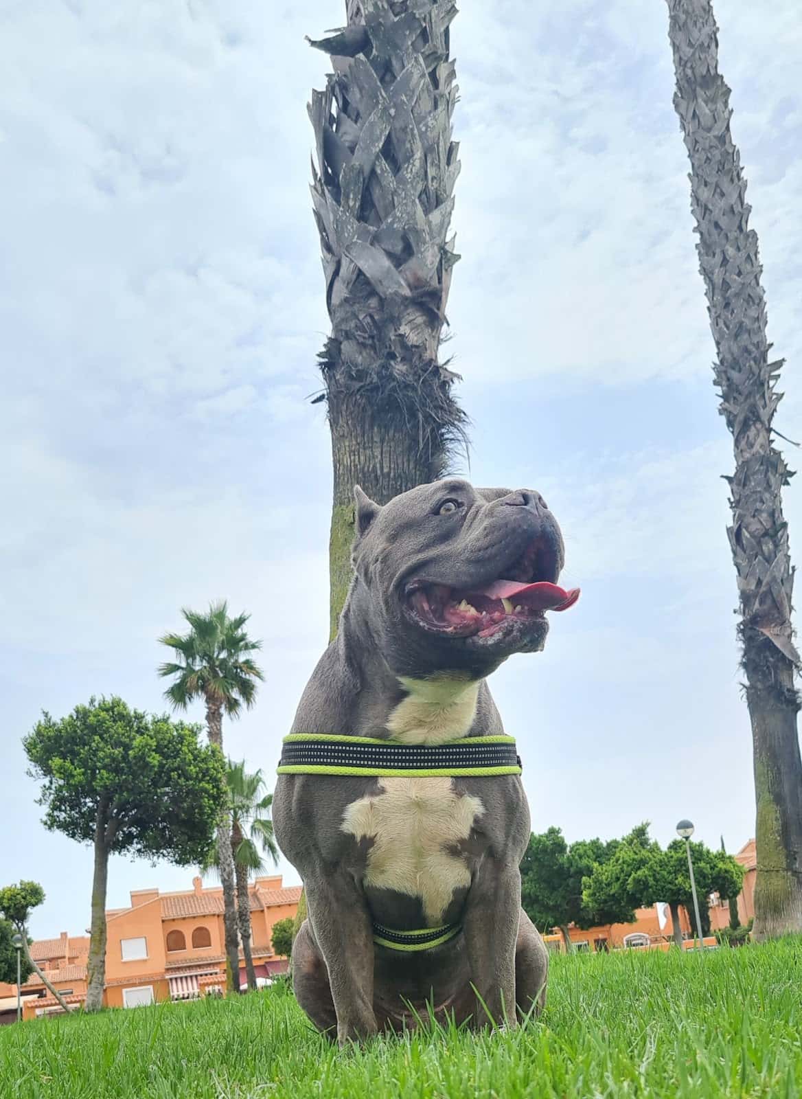 CLINICA VETERINARIA LAGOMAR (EL RASO)