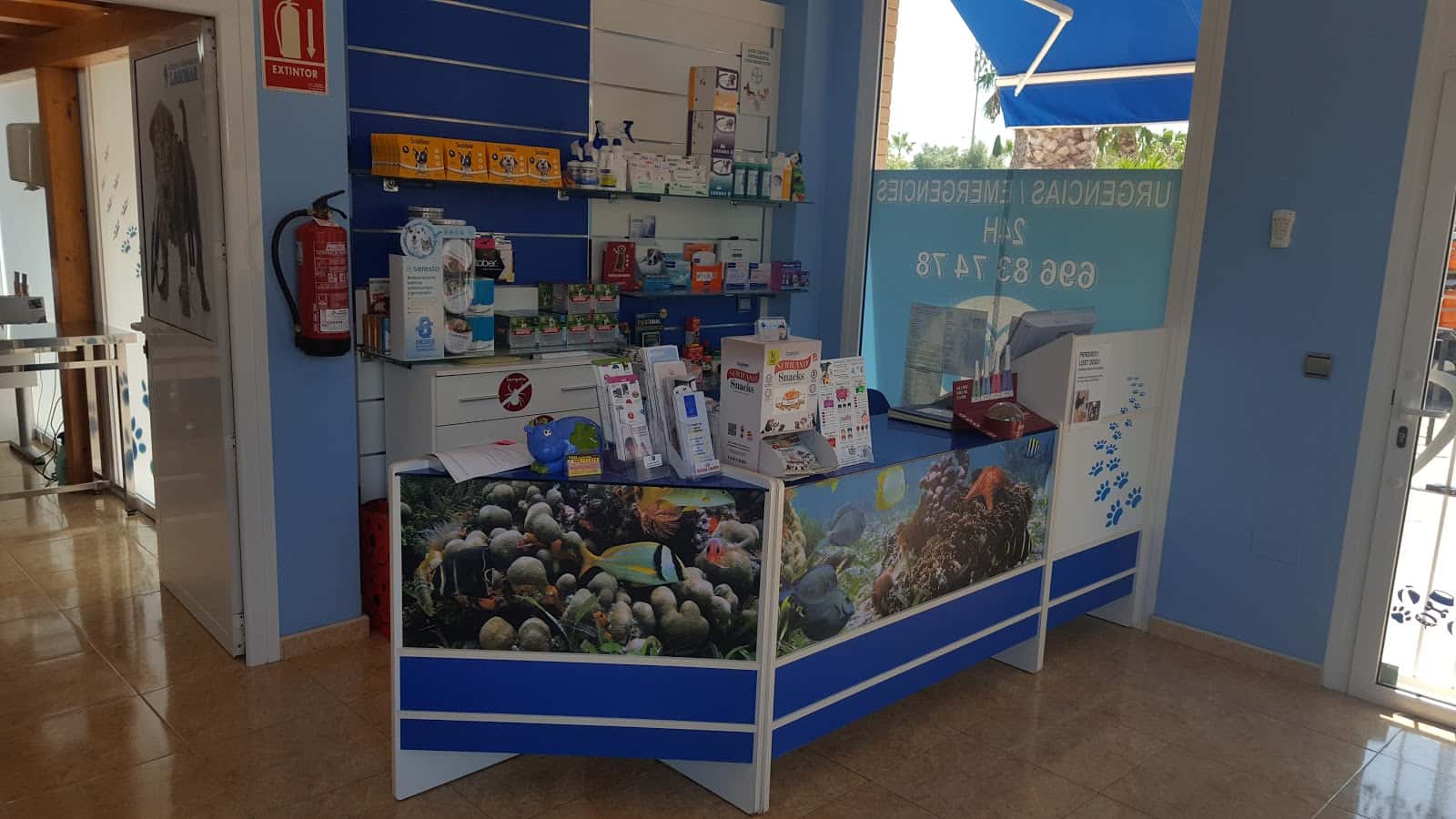 clinica veterinaria lagomar  el raso  veterinario clinica en guardamar del segura en alicante principalImage ADOPTA Sitios Pet Friendly