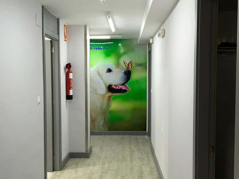 hospital veterinario guardamar 24h veterpet veterinario hospital en guardamar del segura en alicante principalImage ADOPTA Sitios Pet Friendly