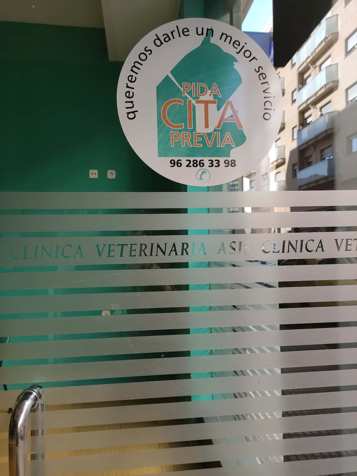 clinica veterinaria asis veterinario clinica en gandia en valencia principalImage ADOPTA Sitios Pet Friendly