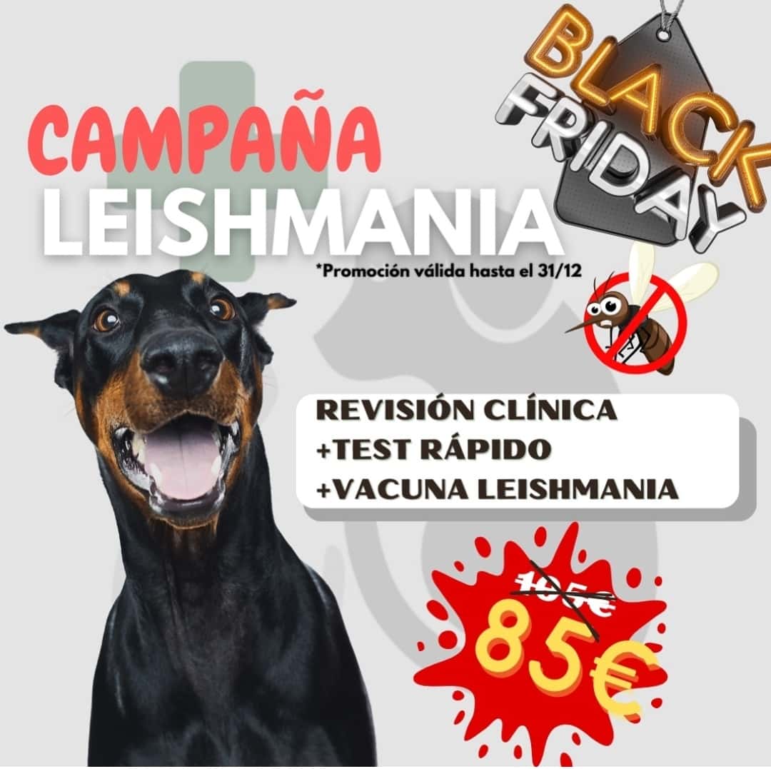 CONSULTORIO VETERINARIO LA FONT