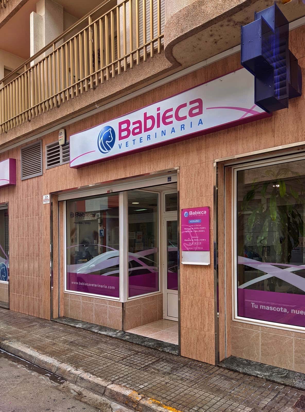 clinica veterinaria babieca veterinario clinica en gandia en valencia photo undefined ADOPTA Sitios Pet Friendly