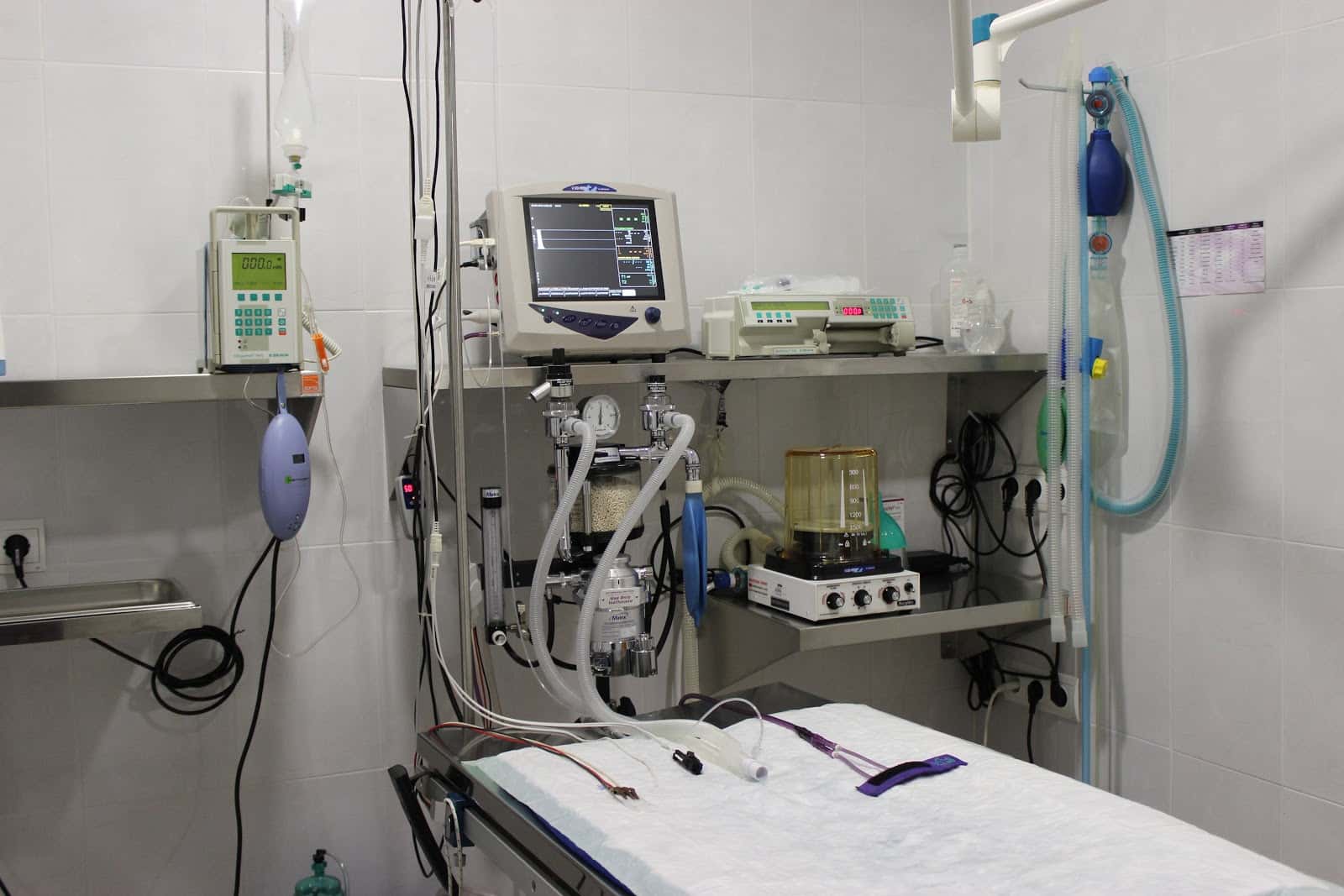 Clínica Veterinaria Mares S.L.