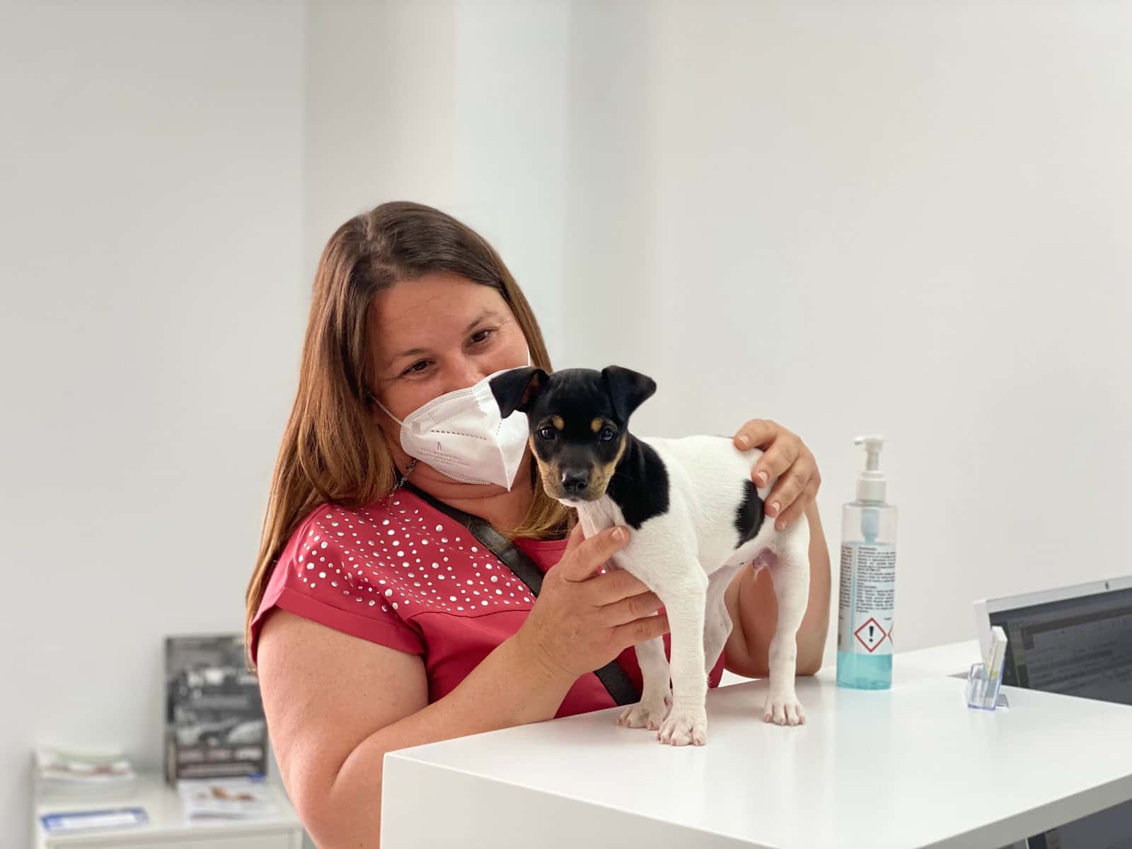 Clínica Veterinaria Cap i Cua l'Alqueria-URGENCIAS