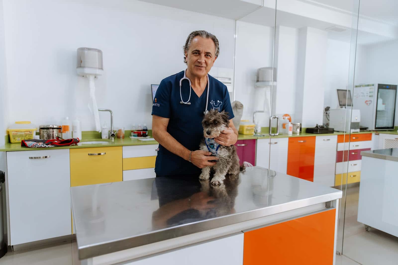 Clínica Veterinaria Gat i Gos