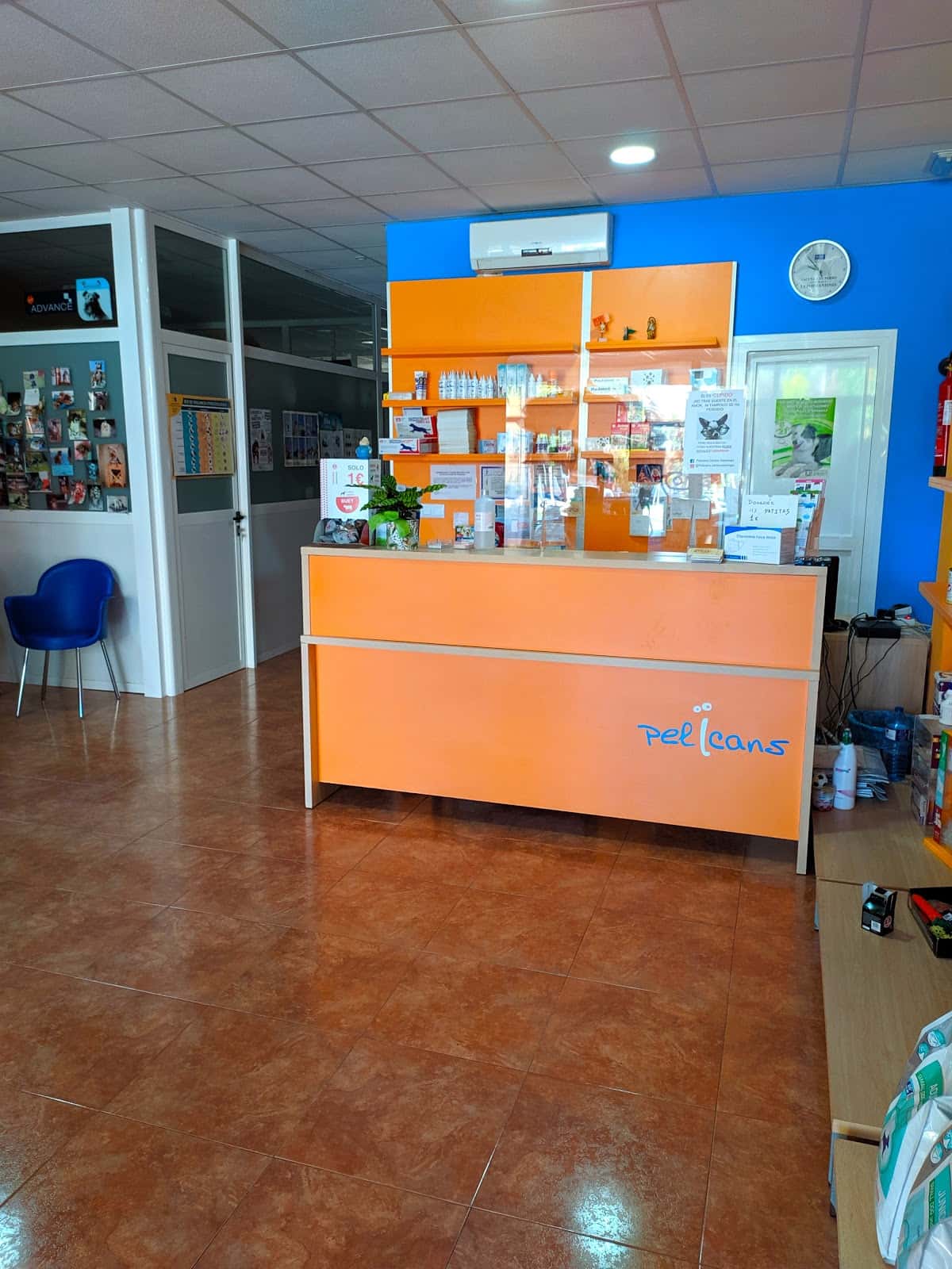centre veterinari pelicans veterinario centro en gandia en valencia photo undefined ADOPTA Sitios Pet Friendly