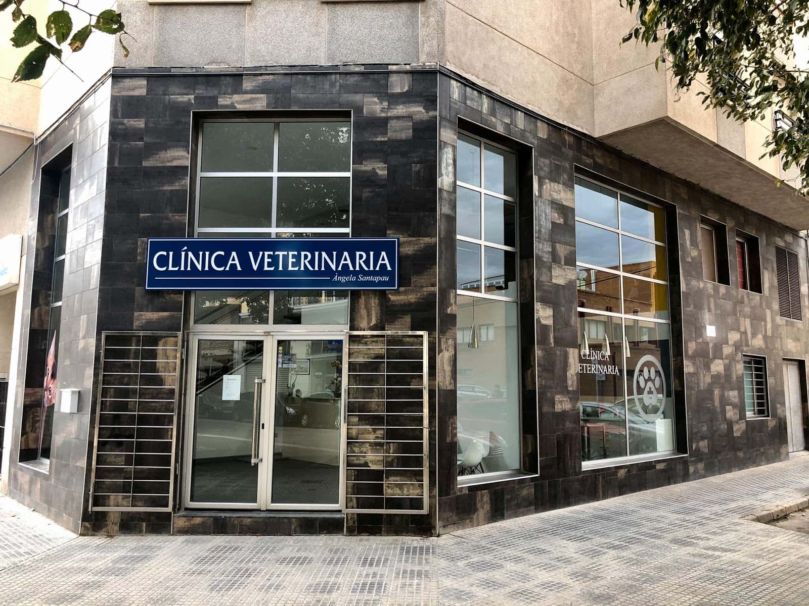 clinica veterinaria oliva  angela santapau veterinario clinica en oliva en valencia principalImage ADOPTA Sitios Pet Friendly