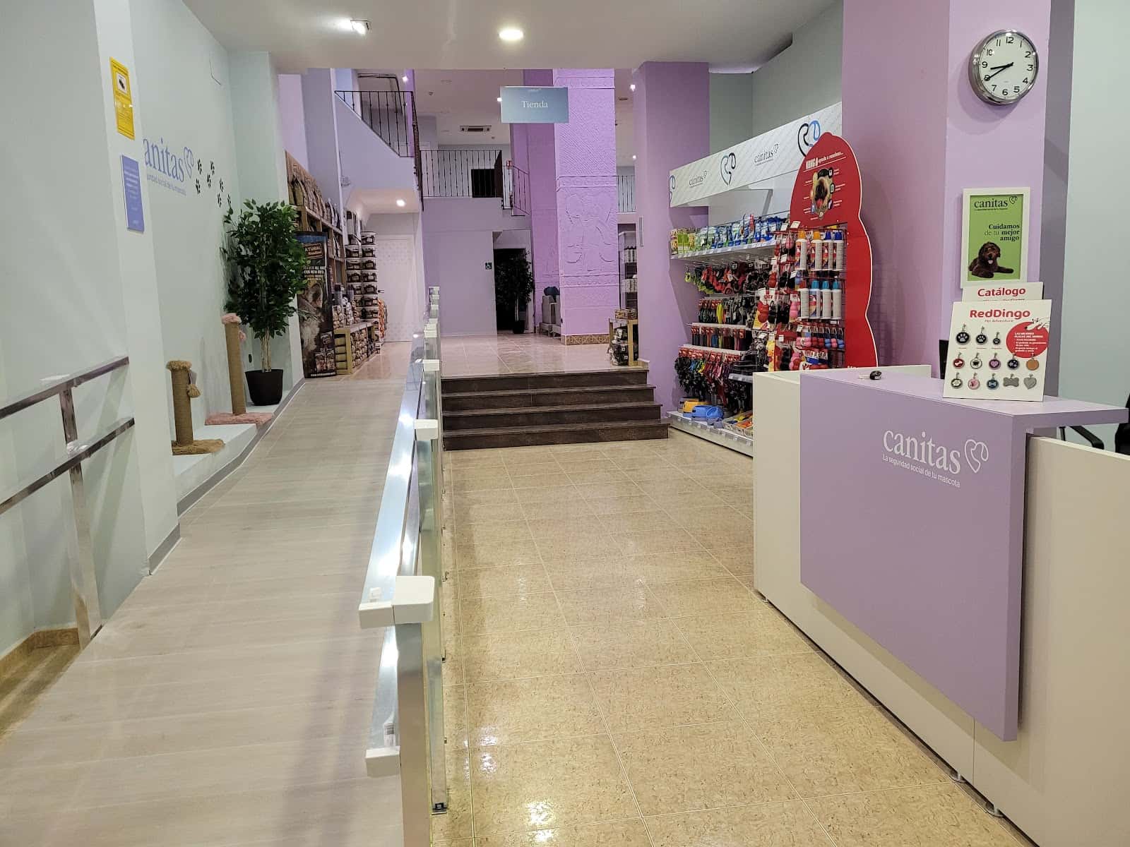 Canitas Veterinaria Alicante - General Marvá