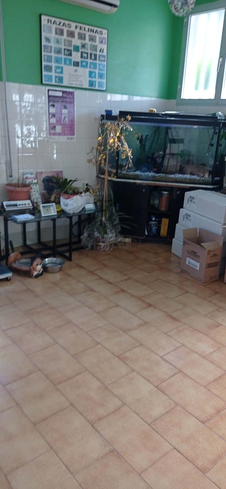 Clinica Veterinaria L Alqueria