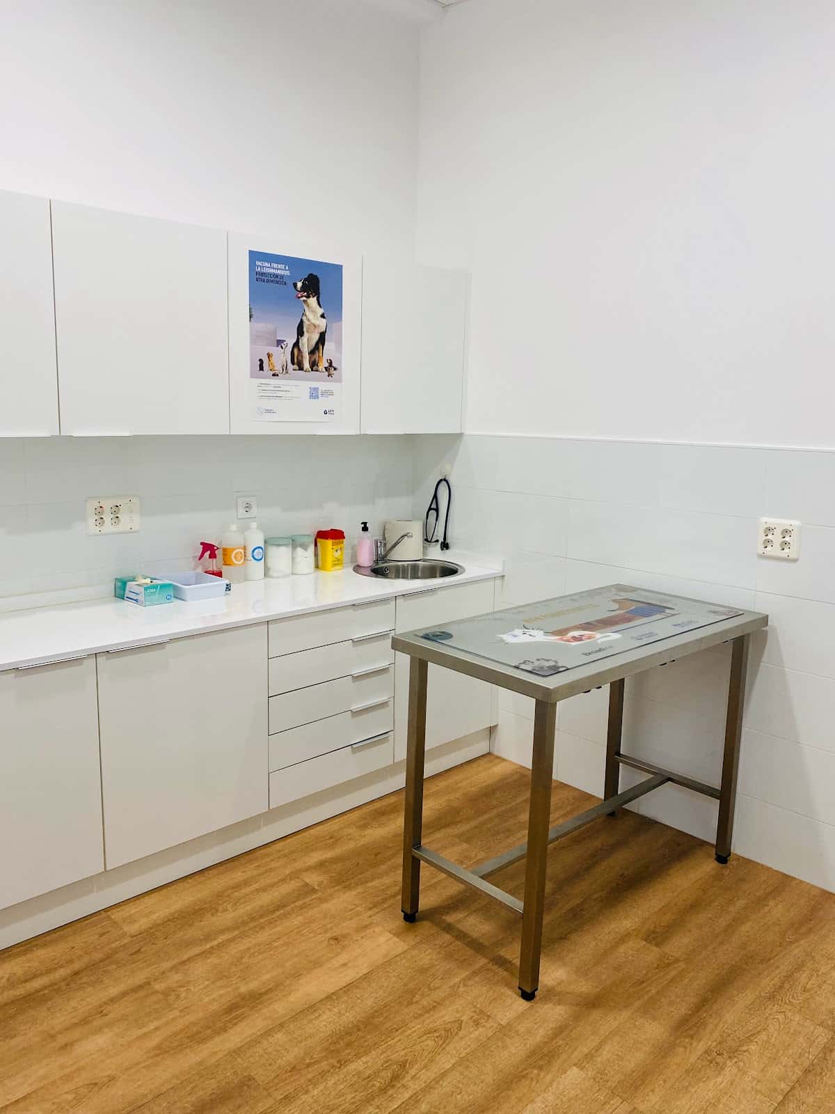 AliVet Clínica Veterinaria (Veterinario Urgencias Alicante 24h)