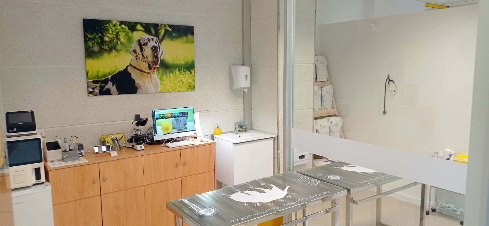 RealVets Centro Veterinario
