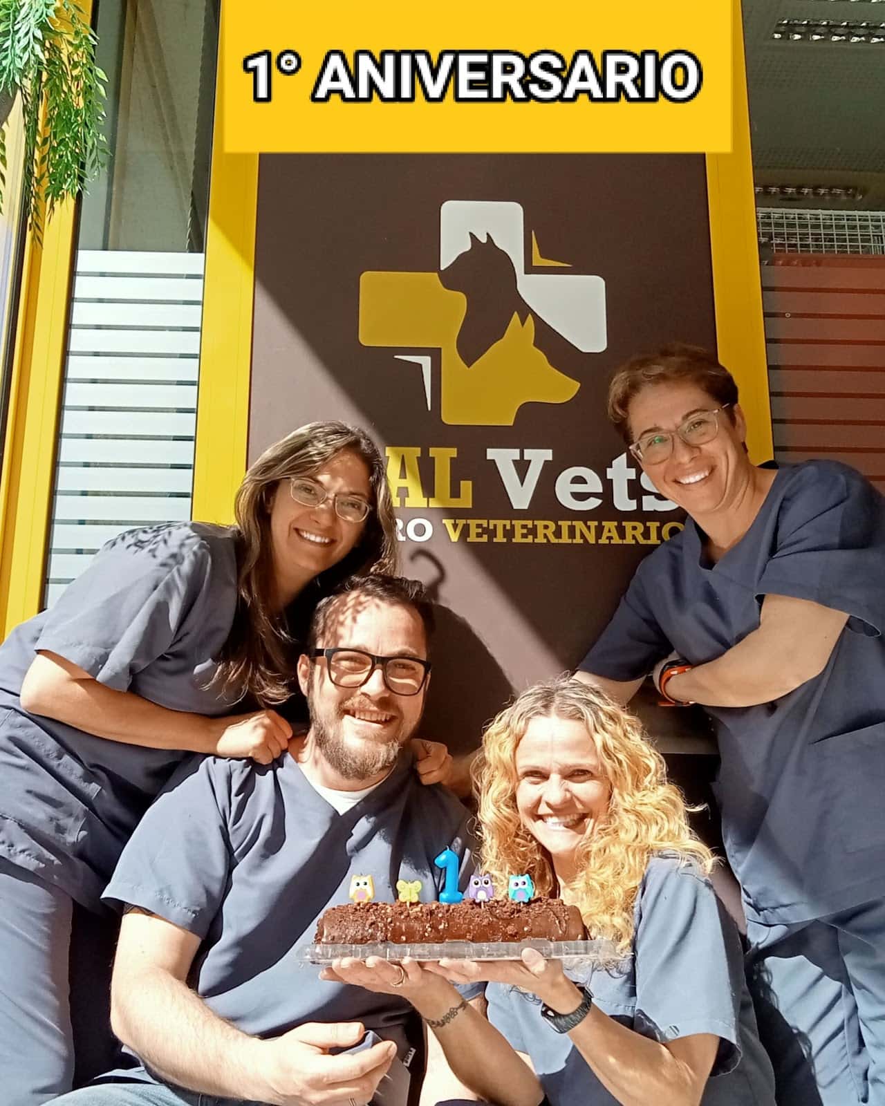 RealVets Centro Veterinario