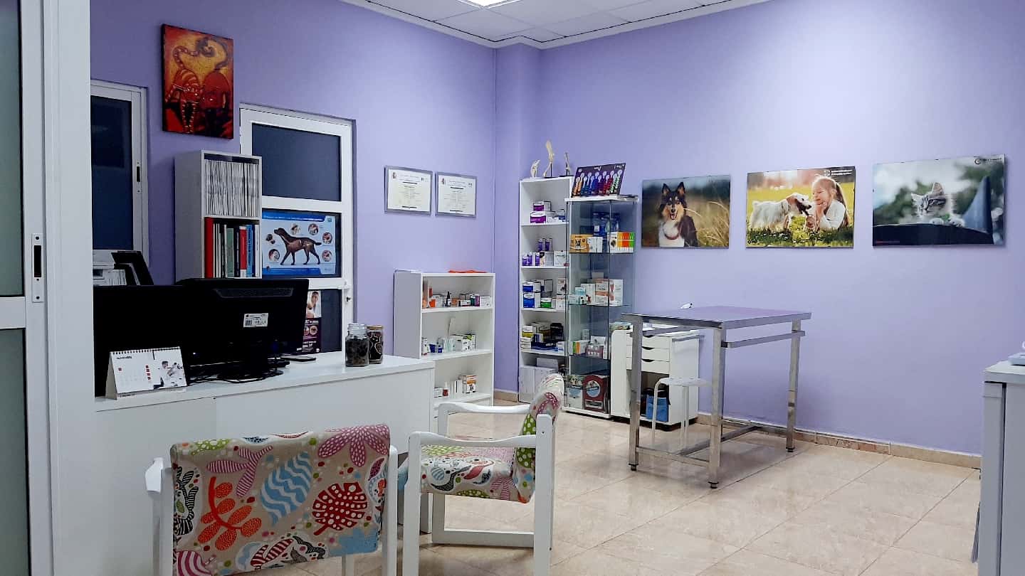 VernissaVet Centro Veterinario