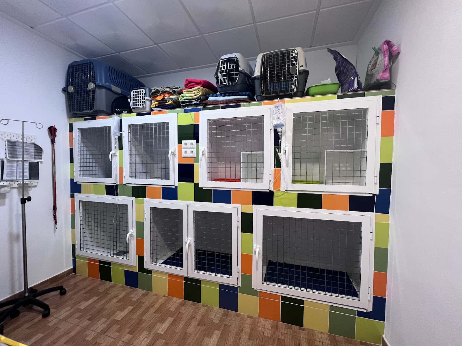 VernissaVet Centro Veterinario