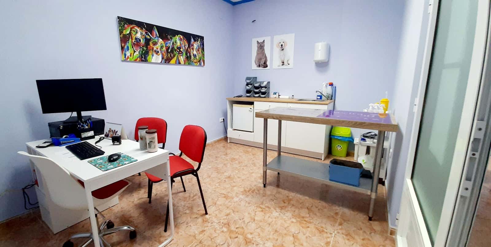 VernissaVet Centro Veterinario